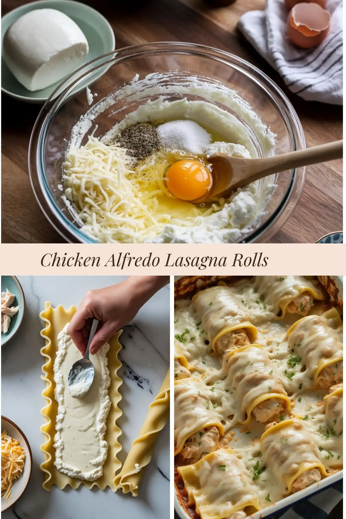 Chicken Alfredo Lasagna Rolls